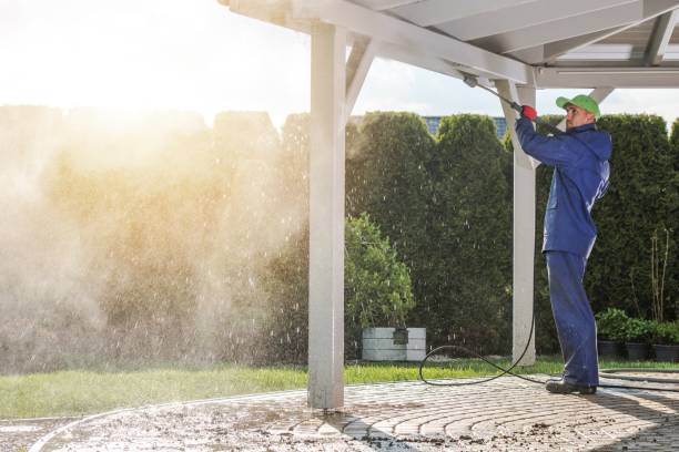 Best Gutter Cleaning  in Lely, FL