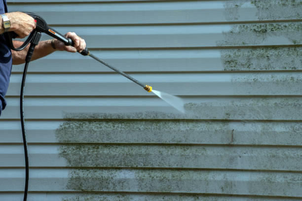 Professional Pressure Washing Services in Lely, FL
