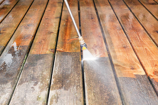 Animal Enclosure Cleaning in Lely, FL